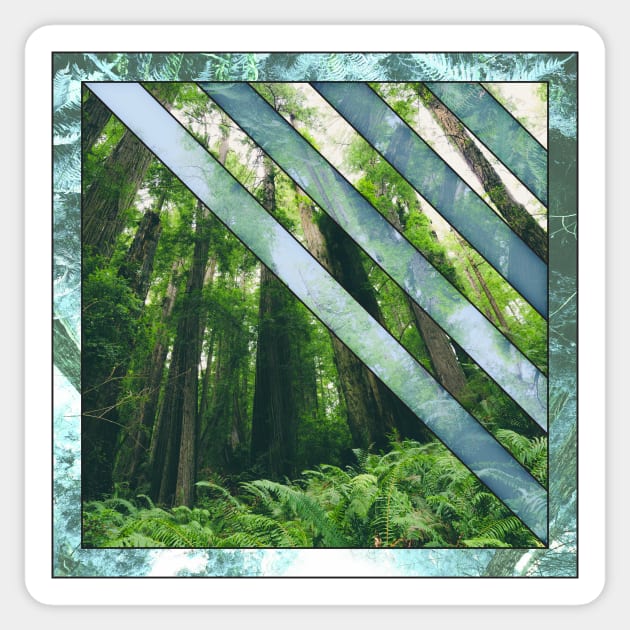 Redwood Tones Sticker by Cascadia by Nature Magick